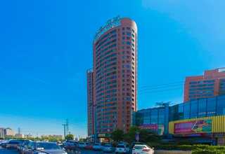 湖北便宜狗粮零食营养品网上价格